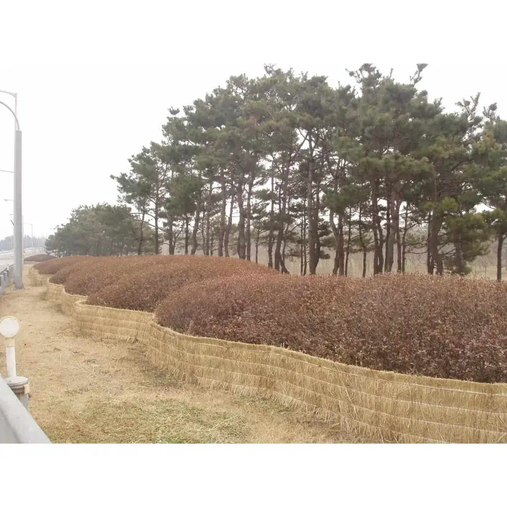 방풍거적 [동절기 유지관리]