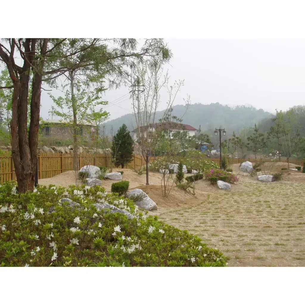 청매실 식재건