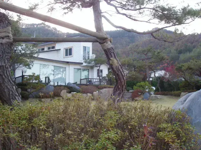 주택조경