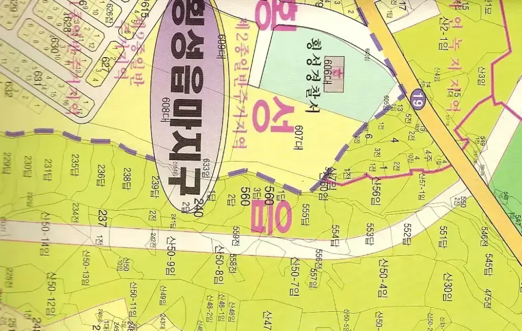 박사장님