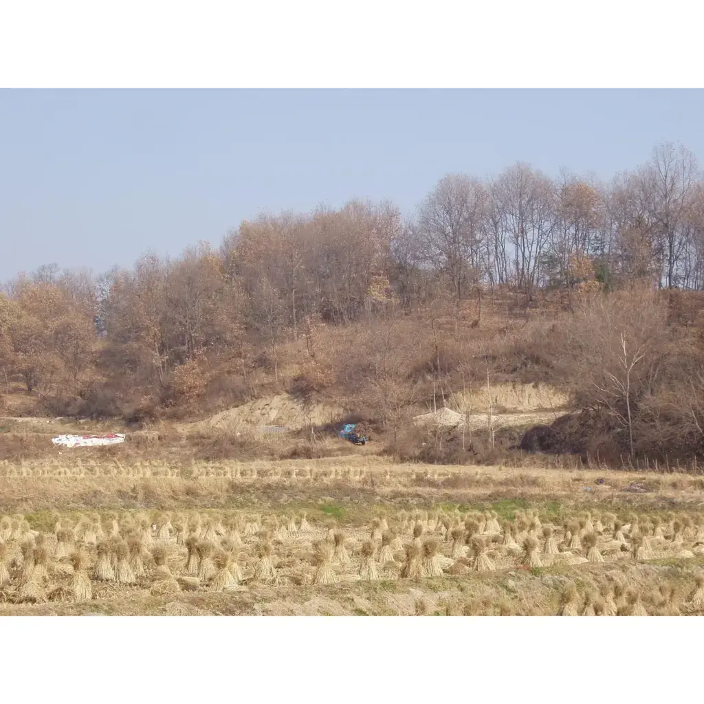 박사장님