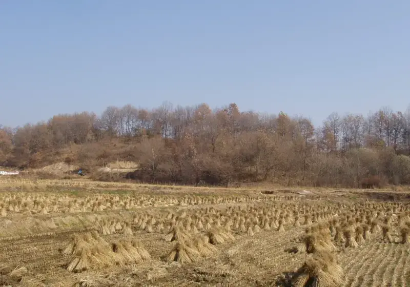 박사장님