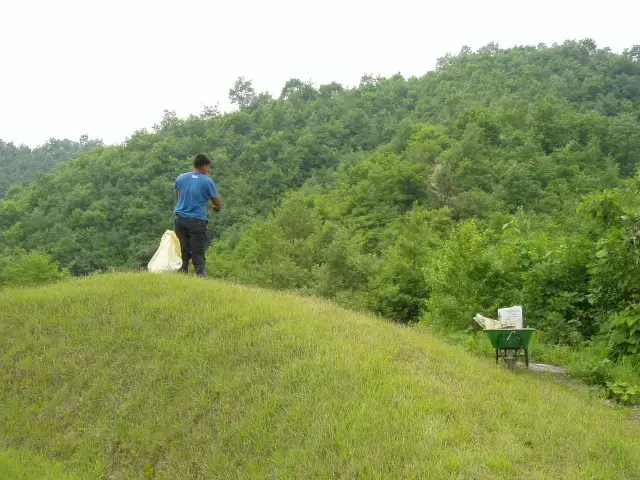 연안김공 선영 년중 유지관리
