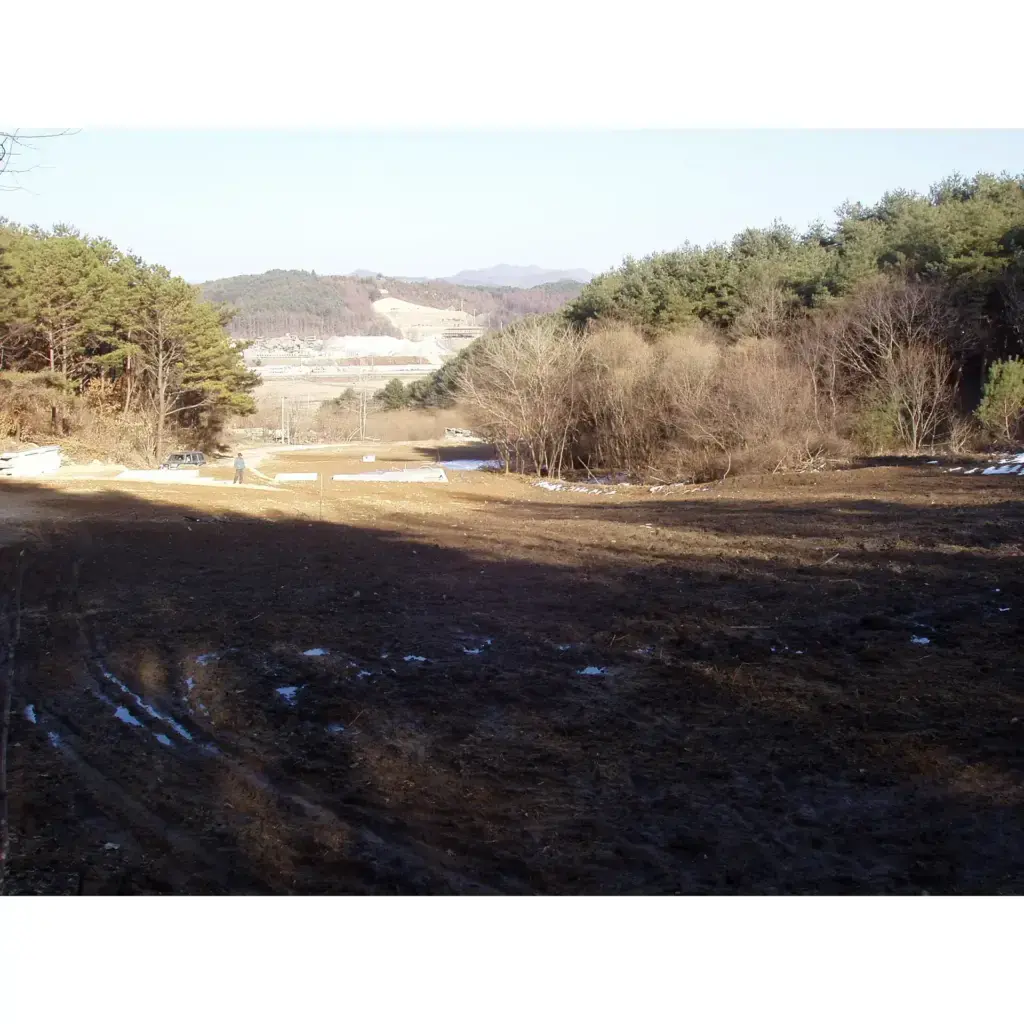 소나무 포지 조성