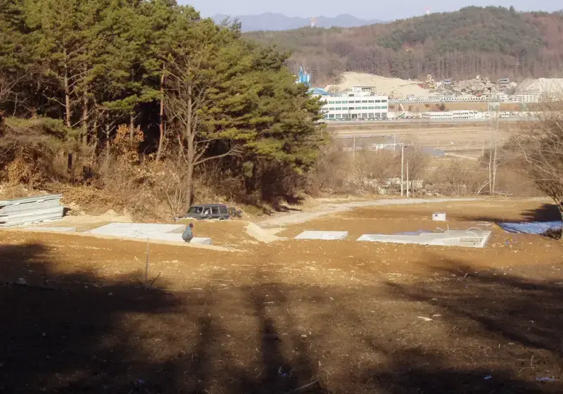 소나무 포지 조성