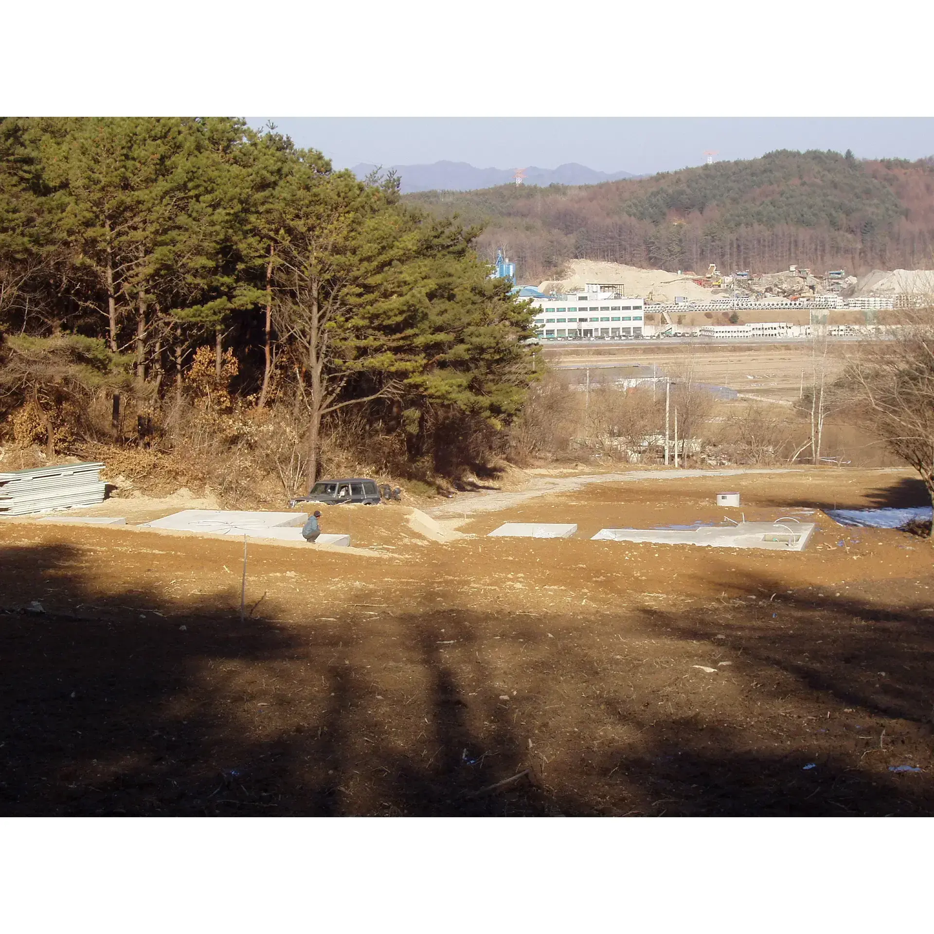 소나무 포지 조성