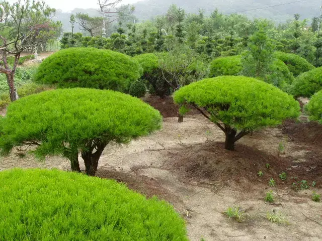 반송 판매