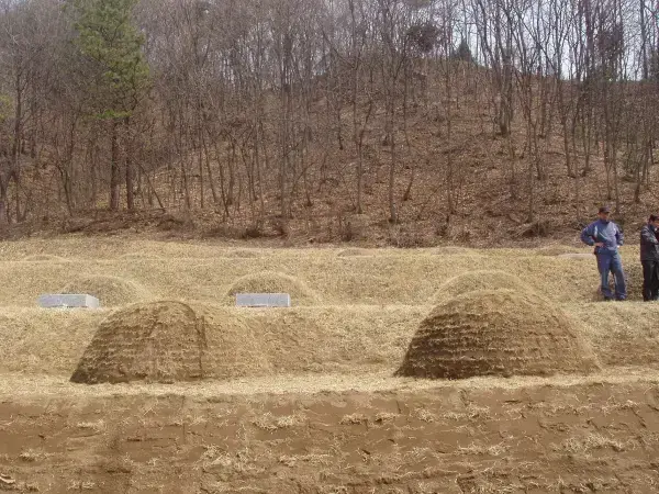 김해허공 선영 사초공사