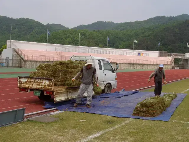 잔디 납품[공설운동장]