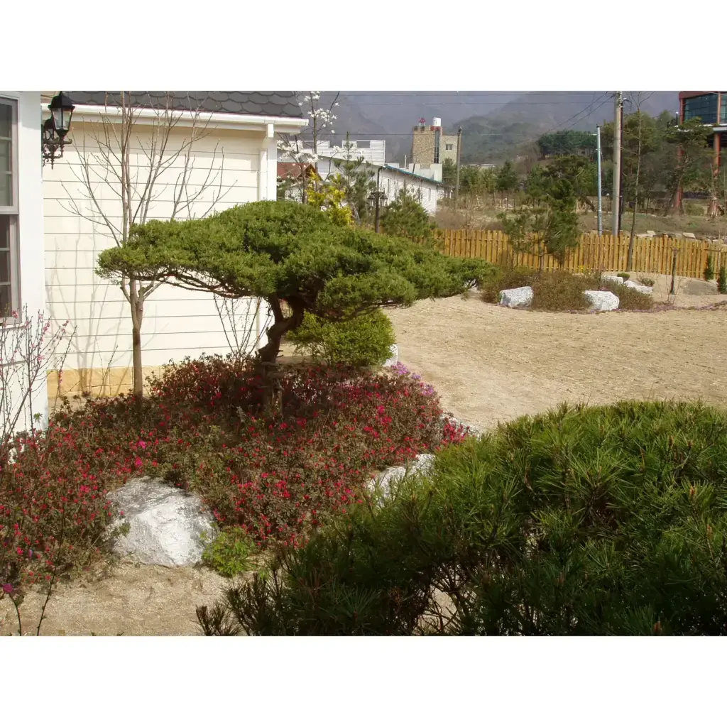 조경 클리닉을 모티브로한 주택조경