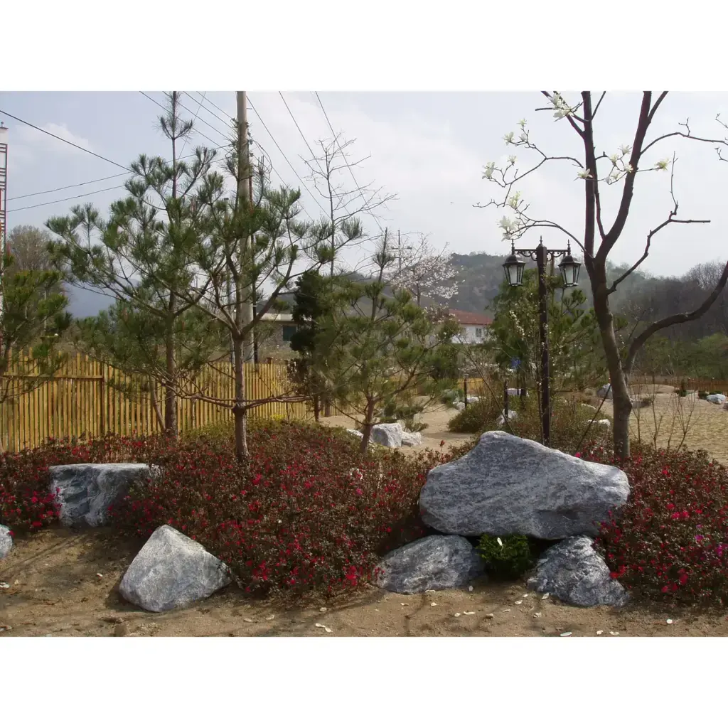 조경 클리닉을 모티브로한 주택조경