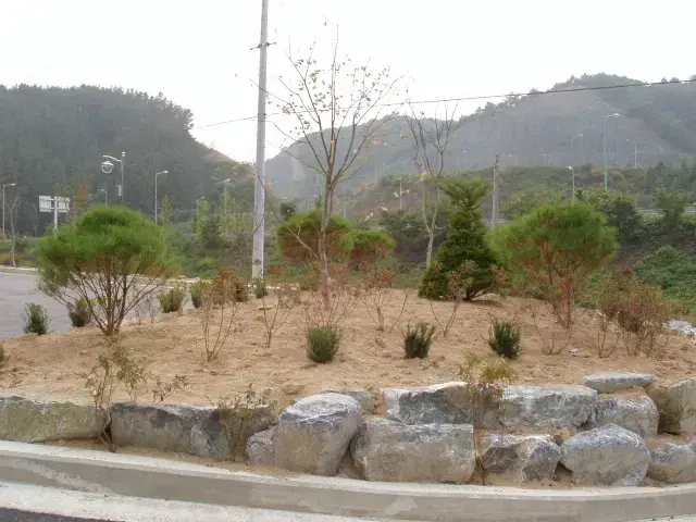 H.S 장례식장 준공 식재공사