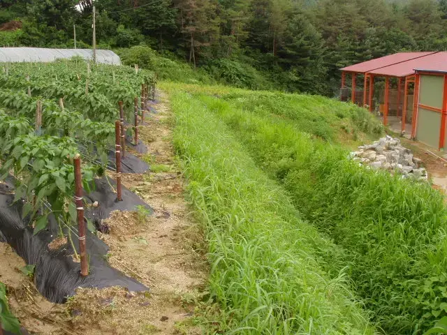 녹정원 주변 부대공사