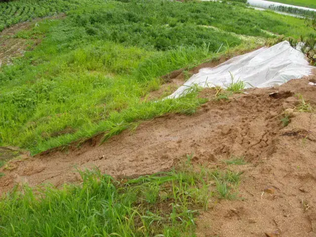 녹정원 주변 부대공사