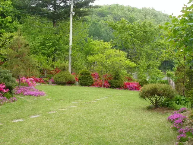 상동 회장님댁 조경 유지관리 (봄)