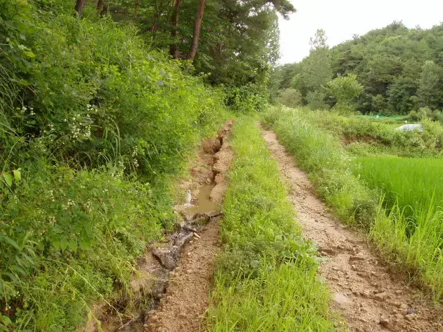 김해허공 납골묘 유지관리