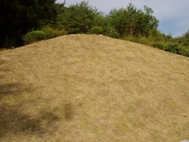 김해허공 납골묘 유지관리