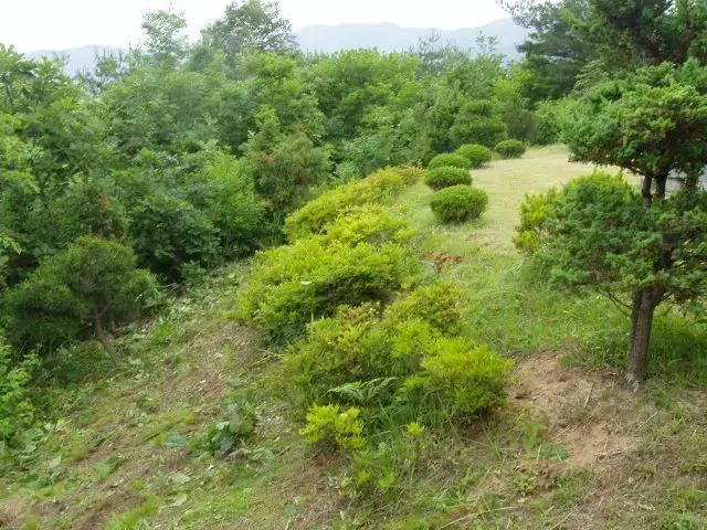김해허공 납골묘 유지관리