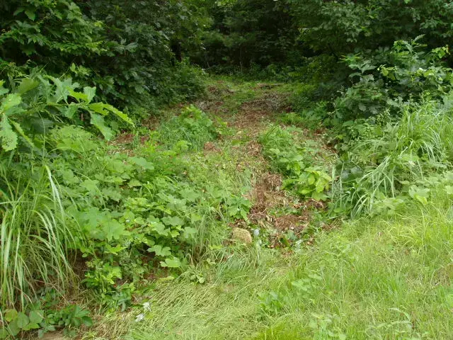 김해허공 납골묘 유지관리